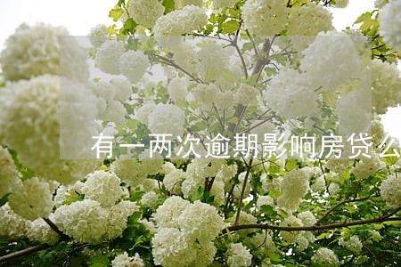 有一两次逾期影响房贷么 有一两次逾期影响房贷么