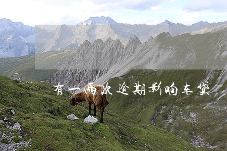 有一两次逾期影响车贷 有一两次逾期影响车贷