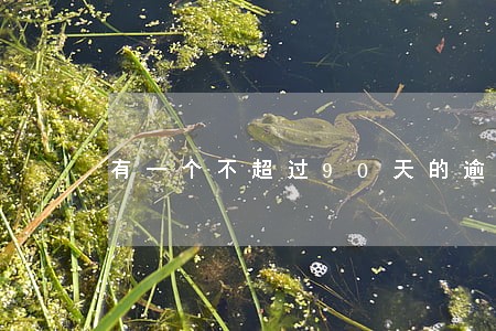 有一个不超过90天的逾期 有一个不超过90天的逾期