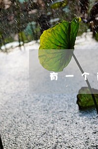 有一个两天的逾期会影响房贷吗 有一个两天的逾期会影响房贷吗