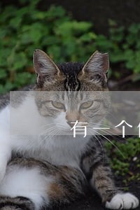有一个借款软件逾期了三个月 有一个借款软件逾期了三个月
