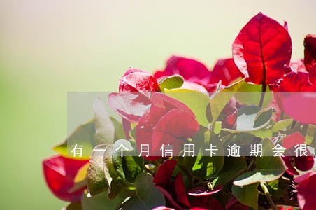 有一个月信用卡逾期会很严重