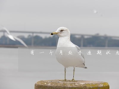 有一个月处于逾期状态
