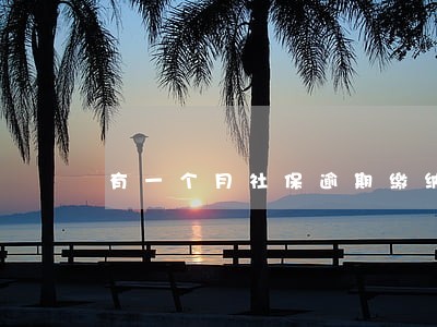 有一个月社保逾期缴纳 有一个月社保逾期缴纳