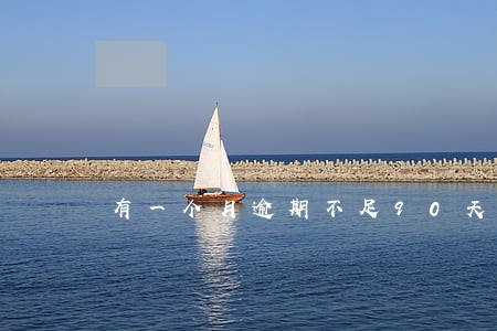 有一个月逾期不足90天 有一个月逾期不足90天