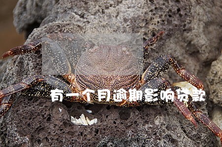 有一个月逾期影响贷款 有一个月逾期影响贷款