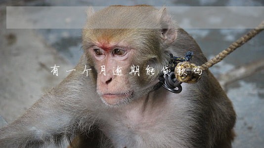 有一个月逾期能贷款吗 有一个月逾期能贷款吗