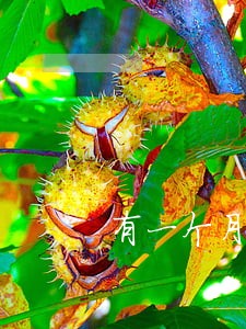 有一个月逾期记录怎么办 有一个月逾期记录怎么办