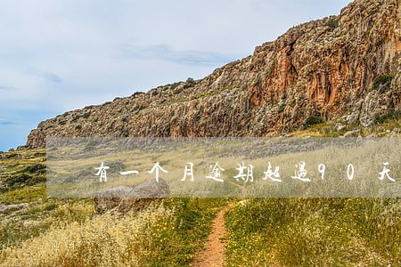 有一个月逾期超过90天 有一个月逾期超过90天