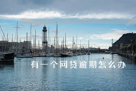 有一个网贷逾期怎么办 有一个网贷逾期怎么办