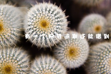 有一个网贷逾期还能借到网贷吗 有一个网贷逾期还能借到网贷吗