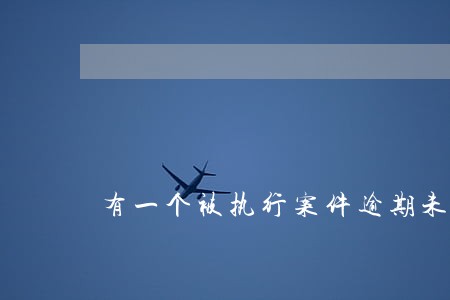 有一个被执行案件逾期未还 有一个被执行案件逾期未还