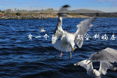 有一个账户逾期会影响房贷吗 有一个账户逾期会影响房贷吗