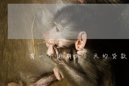 有一个逾期30天的贷款