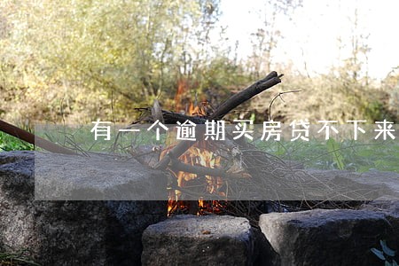 有一个逾期买房贷不下来 有一个逾期买房贷不下来