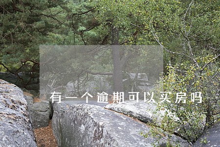 有一个逾期可以买房吗 有一个逾期可以买房吗