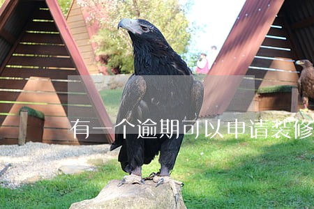 有一个逾期可以申请装修贷吗