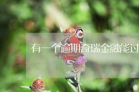 有一个逾期奇瑞金融能过吗 有一个逾期奇瑞金融能过吗