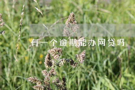 有一个逾期能办网贷吗 有一个逾期能办网贷吗