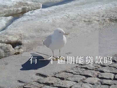 有一个逾期能贷款吗 有一个逾期能贷款吗