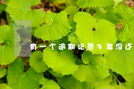 有一个逾期记录3年没还 有一个逾期记录3年没还