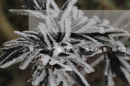 有一个逾期还清了影响贷款吗 有一个逾期还清了影响贷款吗