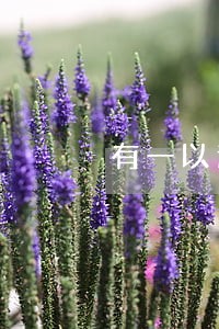 有一以逾期60天记录严重吗 有一以逾期60天记录严重吗