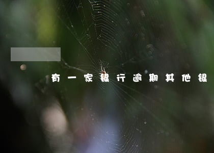 有一家银行逾期其他银行信用卡