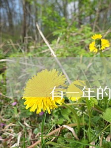 有一年的逾期可以贷款买房吗 有一年的逾期可以贷款买房吗