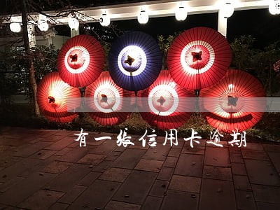 有一张信用卡逾期 有一张信用卡逾期