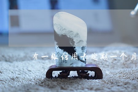 有一张信用卡逾期一个月还能用吗 有一张信用卡逾期一个月还能用吗