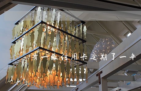 有一张信用卡逾期了一年 有一张信用卡逾期了一年