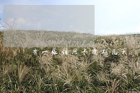 有一张信用卡逾期几天 有一张信用卡逾期几天