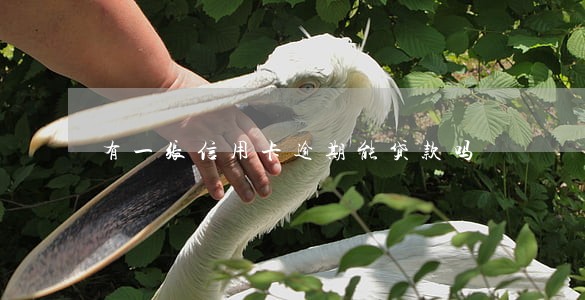 有一张信用卡逾期能贷款吗 有一张信用卡逾期能贷款吗