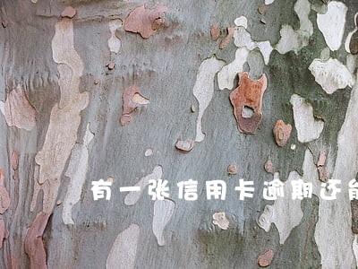 有一张信用卡逾期还能办吗 有一张信用卡逾期还能办吗
