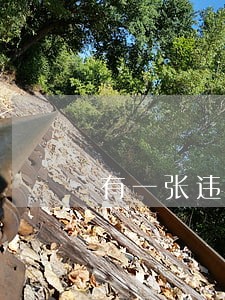 有一张违法停车罚单贴在我的车上 有一张违法停车罚单贴在我的车上