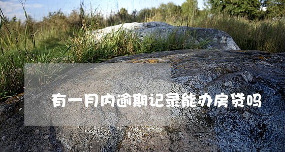 有一月内逾期记录能办房贷吗 有一月内逾期记录能办房贷吗