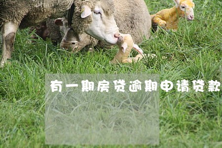有一期房贷逾期申请贷款 有一期房贷逾期申请贷款