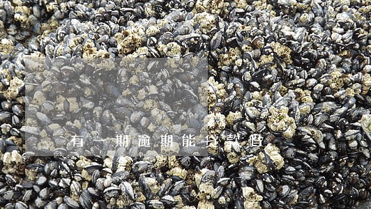 有一期逾期能贷款吗 有一期逾期能贷款吗