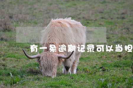 有一条逾期记录可以当担保人吗 有一条逾期记录可以当担保人吗