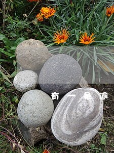 有一条逾期记录影响贷款 有一条逾期记录影响贷款