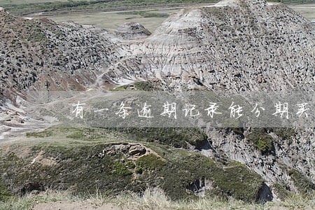 有一条逾期记录能分期买车吗 有一条逾期记录能分期买车吗