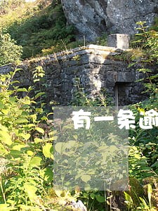 有一条逾期记录金额不大 有一条逾期记录金额不大