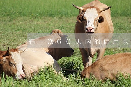 有一次60天内的信用卡逾期 有一次60天内的信用卡逾期