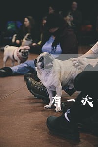 有一次七天的逾期 有一次七天的逾期