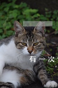 有一次信用卡逾期有什么影响吗