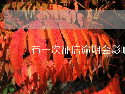 有一次征信逾期会影响买房吗