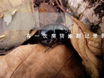 有一次房贷逾期记录影响征信吗 有一次房贷逾期记录影响征信吗