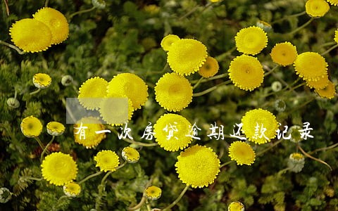 有一次房贷逾期还款记录 有一次房贷逾期还款记录