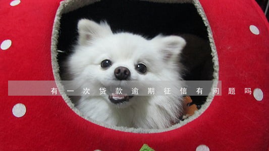 有一次贷款逾期征信有问题吗 有一次贷款逾期征信有问题吗